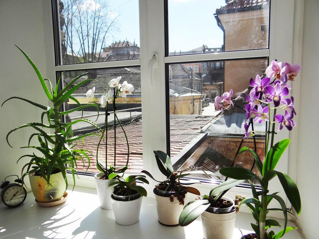 Provence Home Vilnius Bagian luar foto